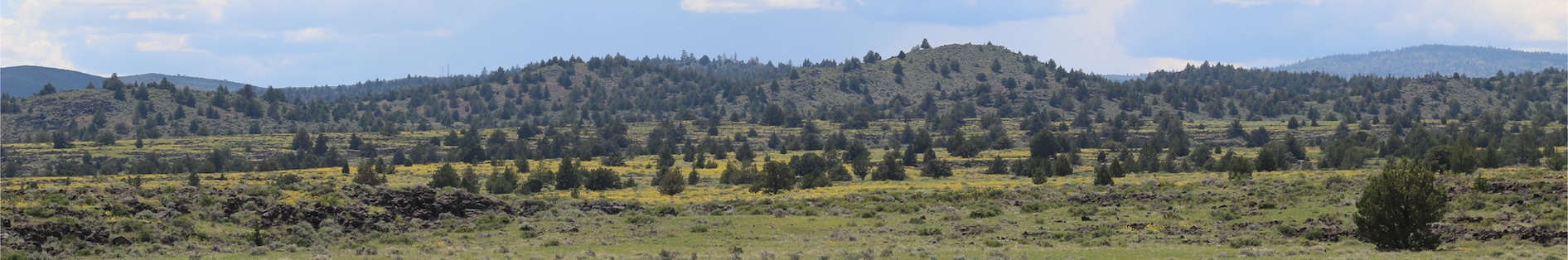 Willow Creek