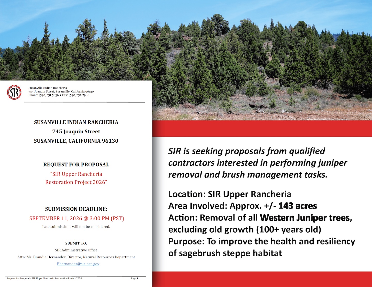 Juniper Tree Removal project on Tribal Land